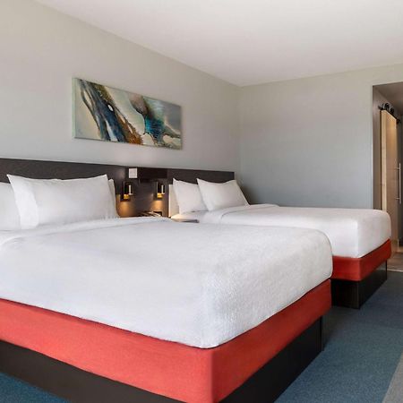 Hilton Garden Inn Fredericton Dış mekan fotoğraf