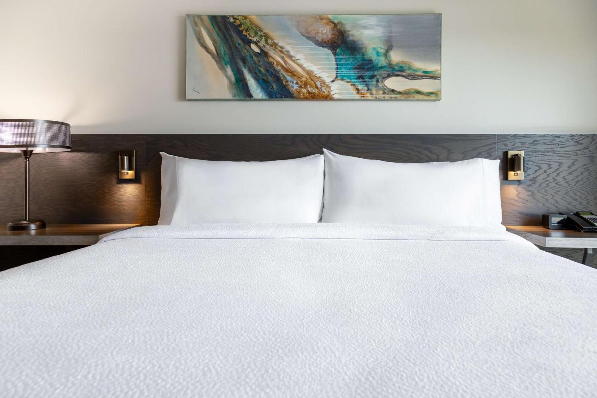 Hilton Garden Inn Fredericton Dış mekan fotoğraf
